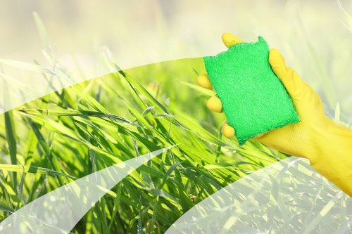 Professional carpet cleaning in a Fulham home interior