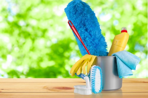 Professional cleaners working in a Fulham home
