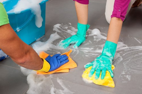 Professional cleaner in Fulham for residential and commercial spaces