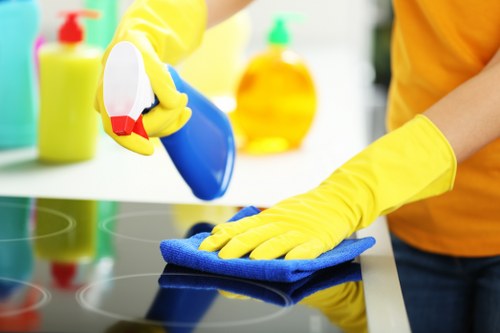 Carpet cleaning equipment used by a Fulham carpet cleaner