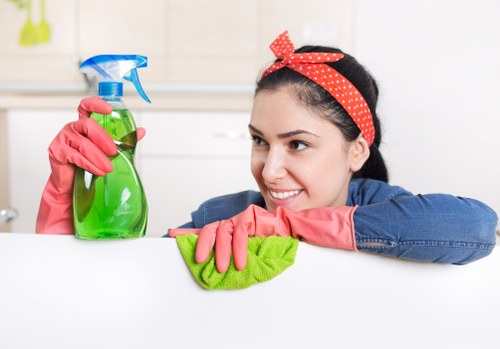 Experienced cleaner in Fulham providing regular maintenance