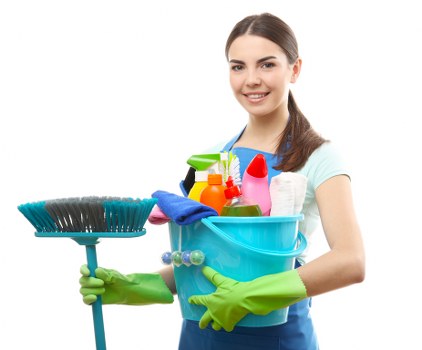 SSL encryption protecting carpet cleaning card transactions