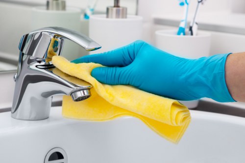 Deep cleaning a bathroom in a Fulham home